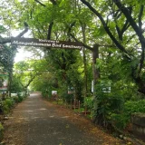 Mangalavanam Bird Sanctuary Ernakulam 